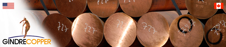 Metals and currencies prices | Gindre Copper